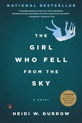 The girl who fell from the sky : a novel Book cover