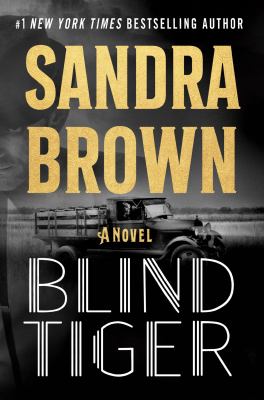 Blind tiger : a novel Book cover