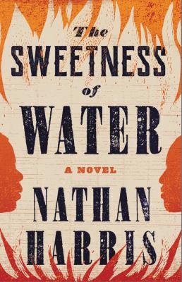 The sweetness of water : a novel Book cover