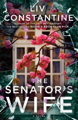 The senator's wife : a novel Book cover